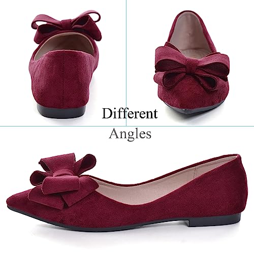 Dear Time Women Casual Comfortable Slip On Ballets Flats Pointy Toe Elegant Wedding Flat Shoes Wine Red-7490 US 4.54