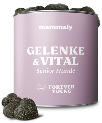 mammaly 6-in-1 Vital-Komplex für Senior Hunde