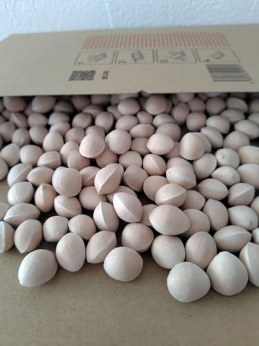 銀杏１キロ 愛知県祖父江産 秋の味覚 採れたてのサムネイル