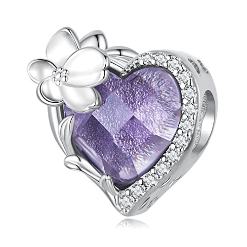 Birthstone Charm 925 Sterling Silver Birthday Charm Love Charm Heart Charm Anniversary Charm Flower Charm Christmas Charm for Pandora Charm Bracelet (February)