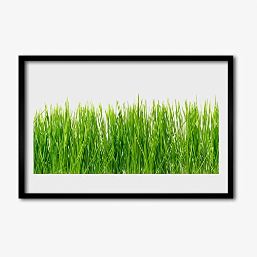 Affiche avec cadre murale 60x40 Tulup faune de plante d'herbe pour décoration cuisine et salon