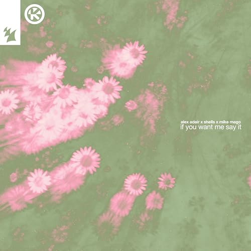 Alex Adair, The Shells & Mike Mago