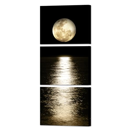 Artmyharbor Vertical Wall Art White Gold Full Moon Picture Modern