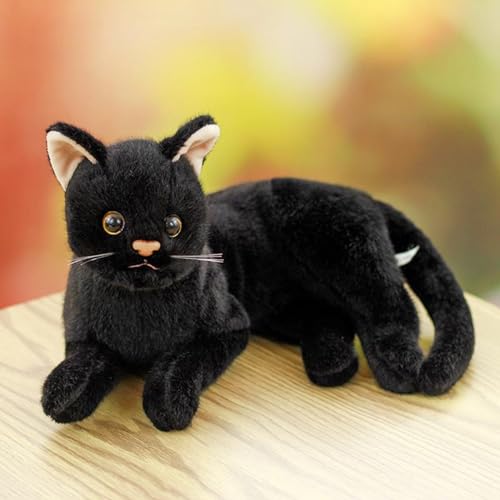 Lʂ ˂ AL D { ^ 36cm 29cm ˂ lR p ܂  Aj}  ӂ ӂӂ ӂ u  a v[g Mtg 蕨