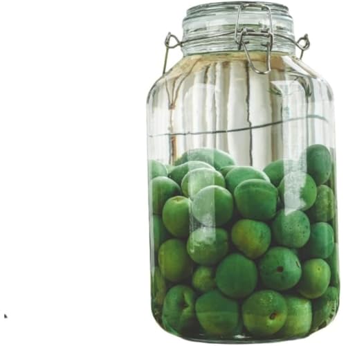 FiveLn ~ r KXт ʎт 2L/3L/4L/5L eʐHiۑe KX r e LjX^[ R[q[ t ۑe ʎ Â (4L,ی^) [sAi]