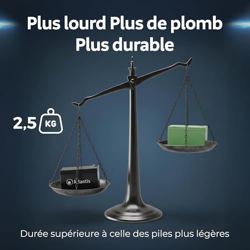 Batterie plomb 12v 9ah VRLA onduleur UPS système d'alarme et mobilité électrique Atlantis F2 - 6
