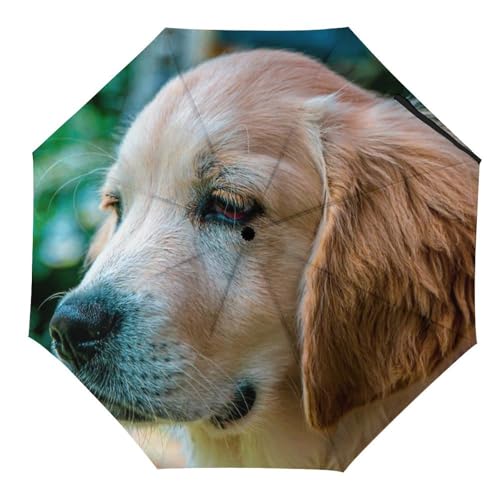Parapluie pliant chien mignon automatique et compact pour le voyage