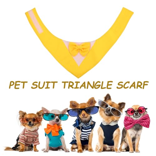 FRCOLOR �t�H�[�}���y�b�g�o���_�i ���l�N�t�� �\�^�L�V�[�h����� ������^������ ��������p�[�e�B�[�p ���p�E�F�f�B���O�A�N�Z�T���[