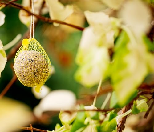 Dehner Natura Premium Meisenknödel mit Netz, Insektenknödel, ganzjähriges Wildvogelfutter proteinreich/energiereich, 30 Stück je 90 g (2.7 kg), Karton aus FSC-zertifizierter Produktion