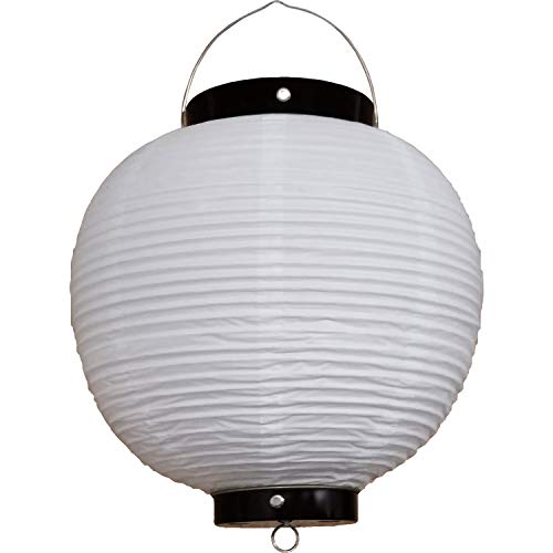 y10Zbgz/g 9ی^ rj[ | 24×H36cm n Ղ X  傤 (Tb209-7)