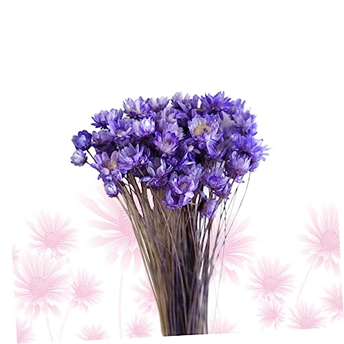 Daisy seca decoración 30 piezas para arreglo DIY miniatura 6