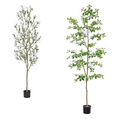 Bellacat Faux Olive Tree 6FT & Faux Black Olive Tree 7ft Cover