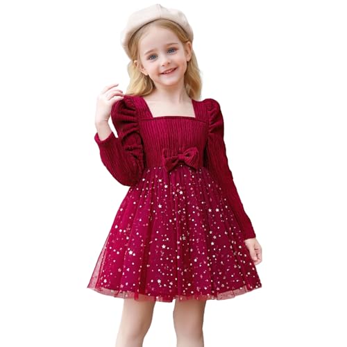 TTYAOVO Little Girls Long Sleeves Casual Birthday Dress with Tutu Skirt