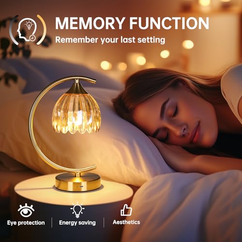 Image of Shenmoyl Tulip Table Lamp, 5200mAh Cordless Touch Control Table Lamp with 3 Color Temps & Stepless Dimming, Rechargeable Battery Table Lamp for Living Room, Bedroom, Office, Shelf (Amber Tulip)
