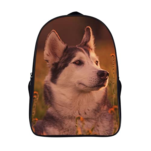 Sac à dos scolaire Husky pour enfants cartable garçon de 40cm style 3D
