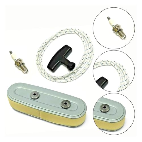 Accessoires de tondeuse à gazon filtre 03410 pour une carburation fluide