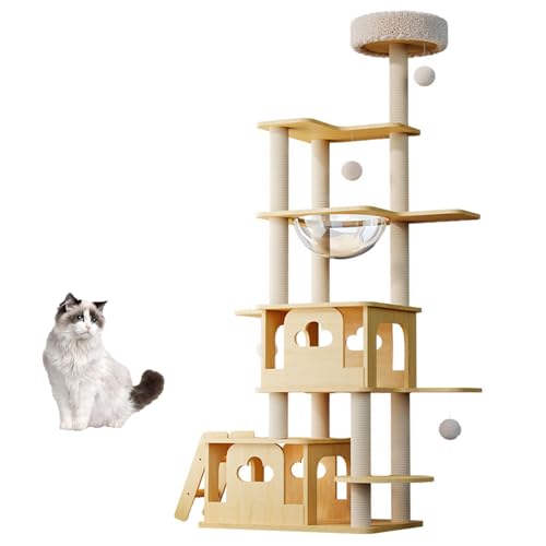 Lp_ȖؐLbgc[AANh[tLbg^[A܂Ƃ|XgAKȃgbvp[`A^Rh~jAt}`xLbgvCnEXA