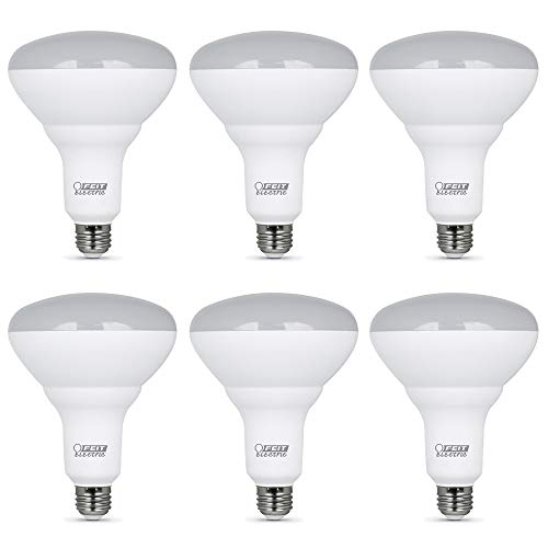 Feit Electric LED BR40 Bulbs, Dimmable, 65W Equivalent, 10 Year Life, 850 Lumens, E26 Base, 5000k Daylight, Flood Lights, Recessed Can Light Bulbs, Damp Rated, UL Listed, 6 Pack, BR40DM85010KLED/2/3