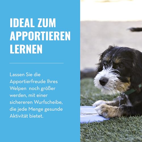 KONG Puppy Flyer - Wurfscheibe Hundespielzeug aus weichem Naturkautschuk - Sanftes Gummispielzeug für Wachsende Welpen - Für Kleine Welpen