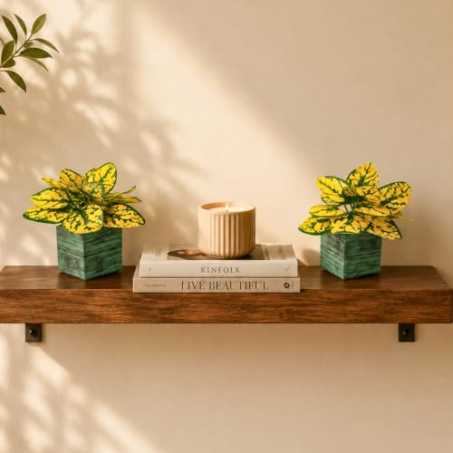 Image of DecoreBugs Artificial Real Touch Flower Plant with Pot (Pack of 2), 16 cm Height, Decorative Faux Floral Plant for Home, Office, Living Room, Bedroom, Table & Shelf Decor