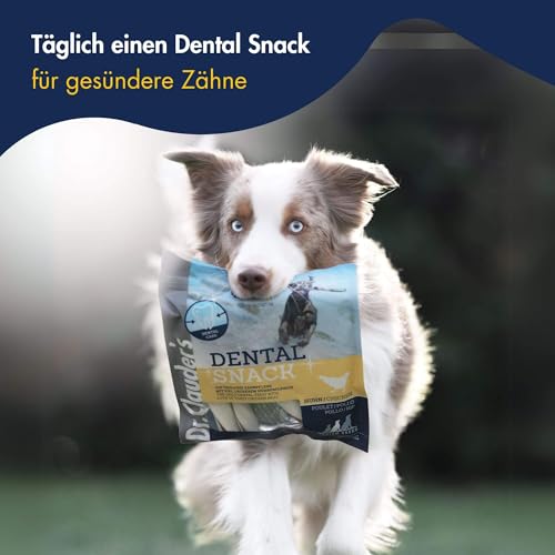 Dr. Clauders Dog Snack Dental Huhn Large Breed 500 g
