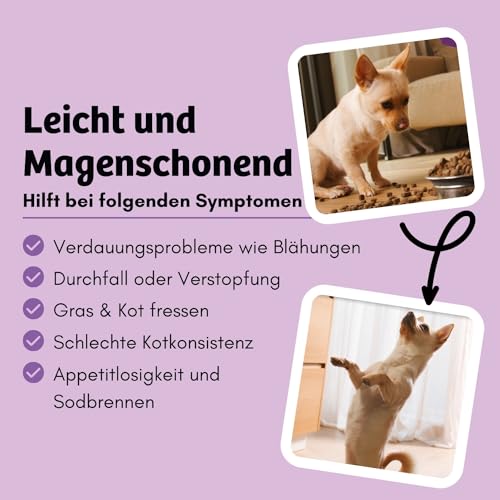 BugBell 7kg Premium Trockenfutter, Magenschonend, Fettreduziert, für Probleme mit der Bauchspeicheldrüse oder Leber, Löwenzahn, Mariendistel, Präbiotika & Probiotika
