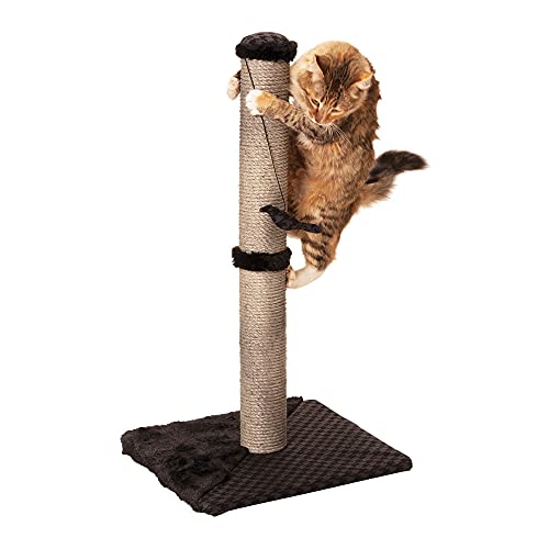 Top 10 Best Scratching Posts For Cats of 2022 Review Best Pet Pro