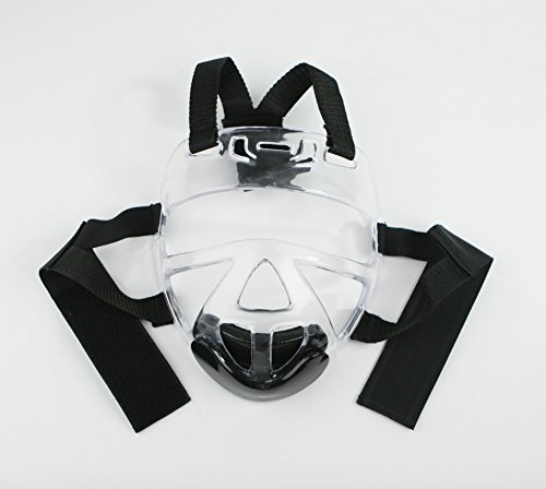 Martial Arts Universal Clear Face Shield #TOP1
