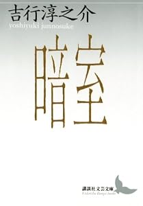 暗室 (講談社文芸文庫)