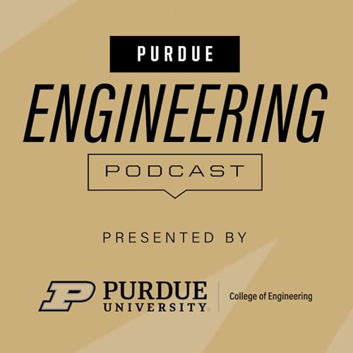 Reducing Head Injuries in Sports with Eric Nauman