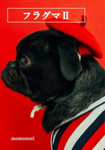 フラグマⅡ (SNS文学シリーズ)