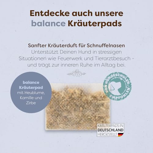 Löwenkind Dogs 100% natürliche Pads für Reiseübelkeit Hunde - wirkungsvolle Entspannung bei Autofahrten (6 Kräuterpads, Travel-Pads bei Reiseübelkeit)