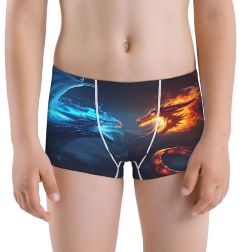 Boys' Cotton Boxer Brief Soft Underwear-Red And Blue Fire Dragon