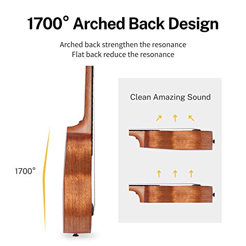 Image of Donner, 4-String Ukulele, Spruce, Tenor (DU)
