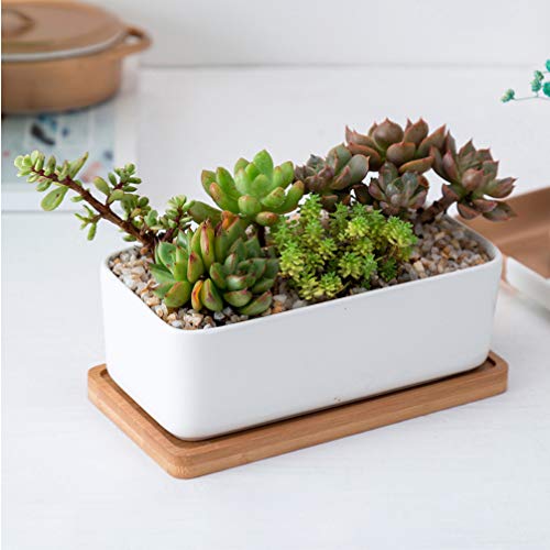 Yardwe Vaso Bonsai de cerâmica retangular com 2 peças para decoração de mesa doméstica