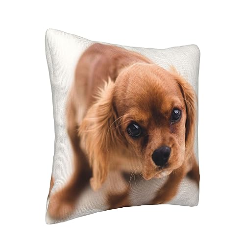 Housse de coussin velours côtelé chiot pour protéger vos oreillers