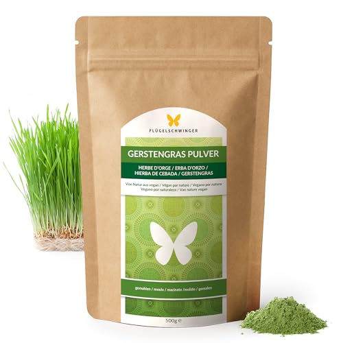 500g Gerstengras-Pulver aus jungen Gräsern ohne Zusätze Rohkost-Qualität schonende Verarbeitung bei niedrigen Temperaturen (500g)