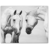 The Language of Horses Black-and-White Photo 11x14 Unframed Poster–Elegant Equestrian Photography Print for Modern Rustic Farmhouse Décor, Contemporary White Horses Art for Living Room or Country Home