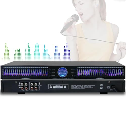Digital equalizer, 22-band dual-channel graphic equalizer with 10 preset effects, bass/mid/treble...