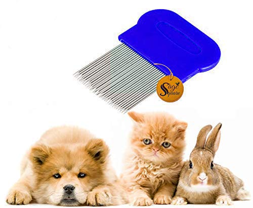 Sage Square 2 in 1 Dog Brush,Pet Long Bristle Comb for Grooming Safety for Pets from Mites,Lice,Ticks for Dog,Puppy,Kitten,Cat (Blue) (B086W5X9CV) Amazon Price History, Amazon Price Tracker