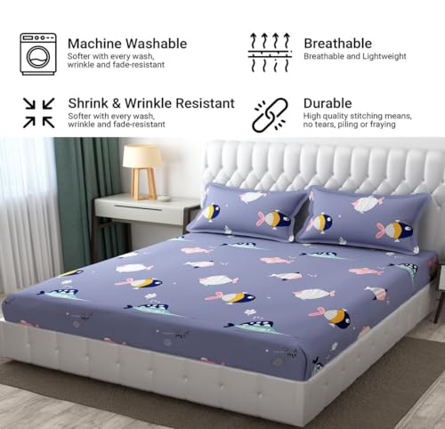 Image of RD FABS Glace Cotton Wrinkle Free Soft Hypoallergenic Bed Sheet | Cartoon Printed Double Bedsheets King Size with 2 Pillow Cover (90x95 Inches /Fish /Blue) 144 TC