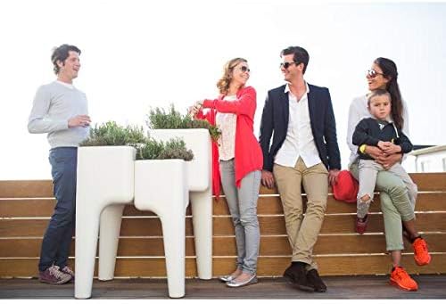 Kiga Kitchen Garden Planter Hurbz XL Indoor Outdoor for Growing Vegetables Flowers Fruits Strawberries Herbs