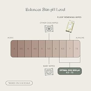 Hypoallergenicrenewingdogwipesgroomingnaturalfreshaloewipesforpawsfaceskineyesearsbuttperfectforpuppyadultdogsvetdermatologistformulatedextrathick144count Urban Country Home Decor Hypoallergenic renewing dog wipes grooming natural fresh aloe wipes for paws face skin eyes ears butt perfect for puppy adult dogs vet dermatologist formulated extra thick 144 count urban country home decor