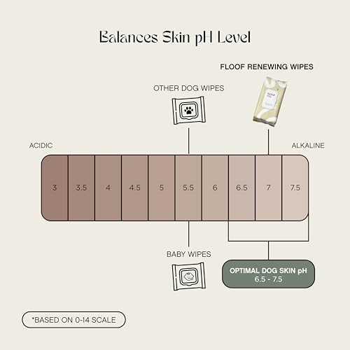 Hypoallergenicrenewingdogwipesgroomingnaturalfreshaloewipesforpawsfaceskineyesearsbuttperfectforpuppyadultdogsvetdermatologistformulatedextrathick144count Urban Country Home Decor Hypoallergenic renewing dog wipes grooming natural fresh aloe wipes for paws face skin eyes ears butt perfect for puppy adult dogs vet dermatologist formulated extra thick 144 count urban country home decor