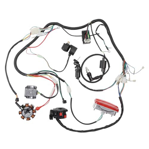 Image of PRO BAT 4 Stroke Dirt Bike 200cc Electrical Wiring Harness Kit