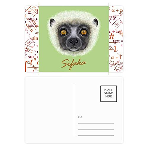 Cartes postales singe sifaka pour décorer un bureau ou écrire un mot de remerciement chic