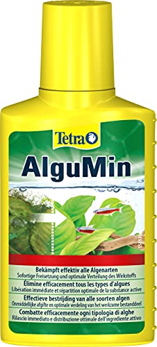 Combatte rapidamente tutti i tipi di alghe, evitandone la proliferazione