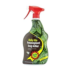 Baby Bio 86600241 Houseplant Bug Killer, 1 L