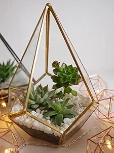CSM Urbaa Triangular Round Terrarium Candle Holder Crackle Gold Dinning Table Decor Items|Table Decorative Items Candle Stand|Decorative Items For Home,Glass - Big Size