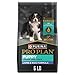 Purina Pro Plan Dry Puppy Food, FOCUS Lamb & Rice Formula - 6 lb. Bag